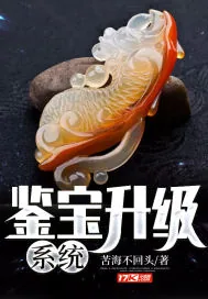 《鉴宝升级系统》小说封面