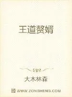 《王道赘婿》小说封面