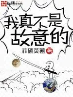 《我真不是故意的》小说封面