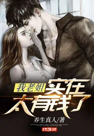 《我老姐实在太有钱了》小说封面