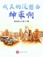 《我真的没想当神豪啊》小说封面