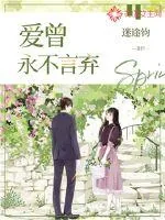 《爱曾永不言弃》小说封面