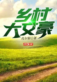 《乡村大文豪》小说封面