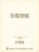 《至尊赘婿》小说封面
