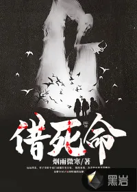 《借死命》小说封面