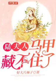 《陆夫人马甲藏不住了》小说封面