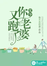 《沈少，你老婆又跑了》小说封面