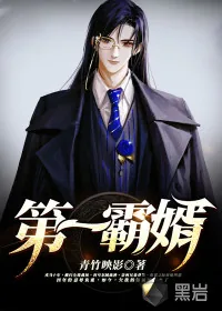 《第一霸婿》小说封面