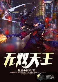 《无双天王》小说封面
