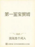 《第一鉴宝赘婿》小说封面