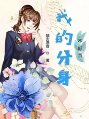 《我的分身不好当》小说封面