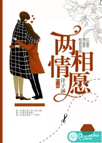 《两相情愿》小说封面