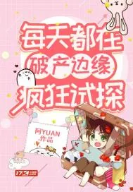 《每天都在破产边缘疯狂试探》小说封面
