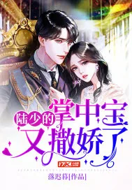 《陆少的掌中宝又撒娇了》小说封面