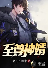 《至尊神婿》小说封面