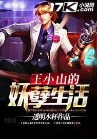 《王小山的妖孽生活》小说封面