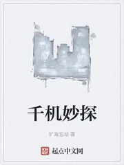 《千机妙探》小说封面