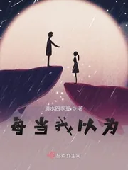 《每当我以为》小说封面