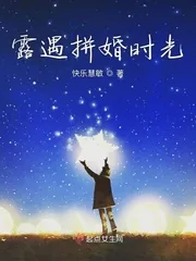《露遇拼婚时光》小说封面