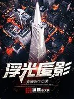 《浮光匿影》小说封面