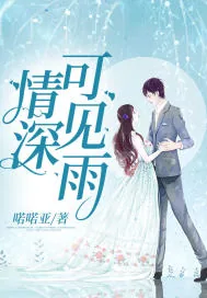 《情深可见雨》小说封面