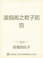 《凌烟阁之君子固穷》小说封面