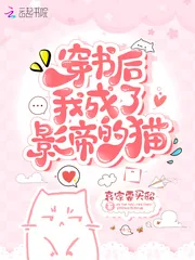 《穿书后我成了影帝的猫》小说封面