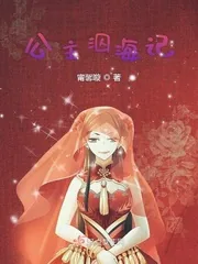 《公主泅海记》小说封面
