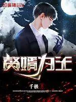 《赘婿为王》小说封面