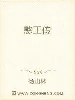 《憨王传》小说封面