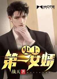 《史上第一女婿》小说封面