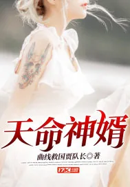 《天命神婿》小说封面