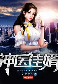 《神医佳婿》小说封面