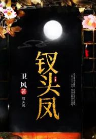 《钗头凤》小说封面