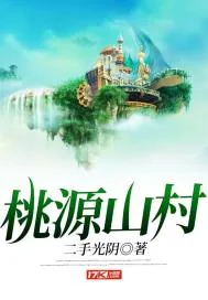 《桃源山村》小说封面