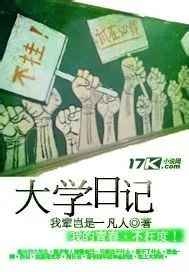 《大学日记》小说封面