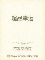 《超品幸运》小说封面