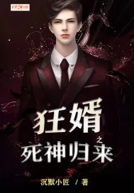 《狂婿之死神归来》小说封面