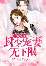 《一夜惊喜：封少宠妻无下限》小说封面