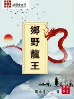《山海龙皇》小说封面