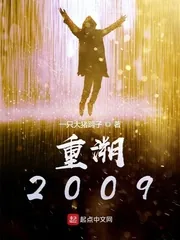 《重溯2009》小说封面