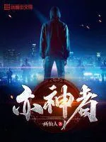 《亦神者》小说封面