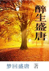 《醉生盛唐》小说封面