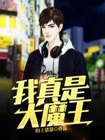 《我真是大魔王》小说封面