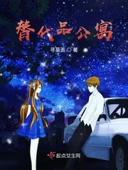 《替代品公寓》小说封面
