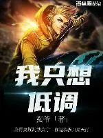 《我只想低调》小说封面