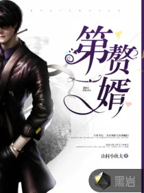 《3366》小说封面
