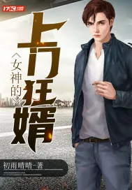 《女神的上门狂婿》小说封面