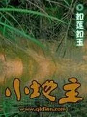 《小地主》小说封面