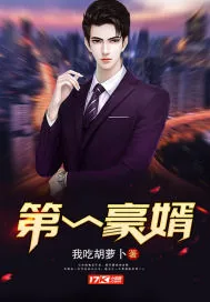 《第一豪婿》小说封面